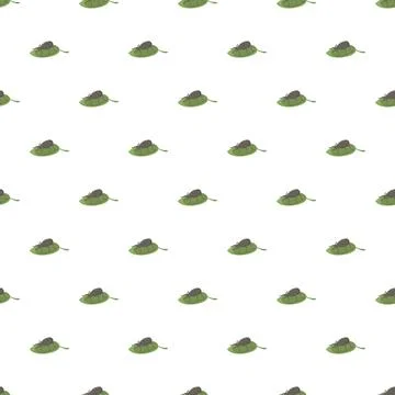 Insect beetle on green leaf seamless pattern Illustrazione stock