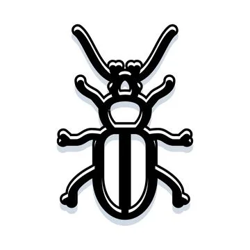 Insect beetle line art drawing with shadow Stock Illustration