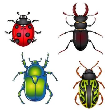 Insect beetles set Stock Illustration
