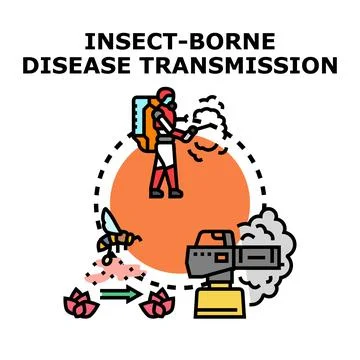 Insect borne disease transmission vector control prevention Stock Illustration