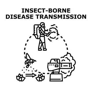 Insect borne disease transmission vector control prevention Stock Illustration