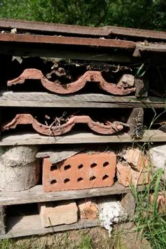 Insect breeding box Foto stock