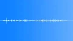 Insect bug beetleSound Effect
