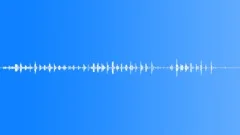 Insect bug idle 01 Sound Effect