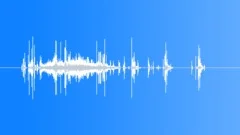 Insect bug upset 01 Sound Effect