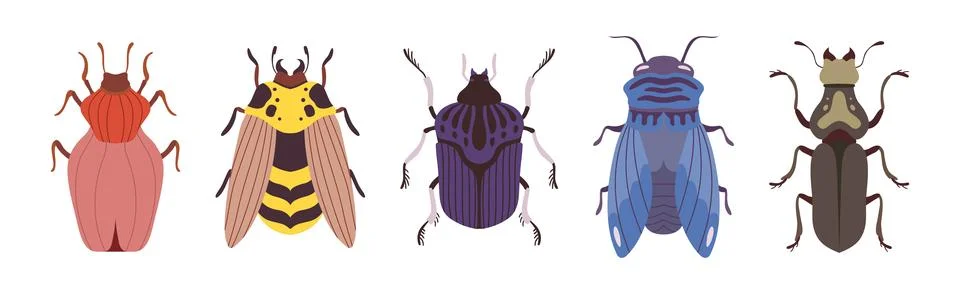 Insect Bugs and Beetle with Antenna and Multiple Legs Vector Set Stock Illustration