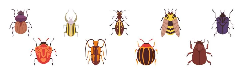 Insect Bugs and Beetle with Antenna and Multiple Legs Vector Set Stock Illustration