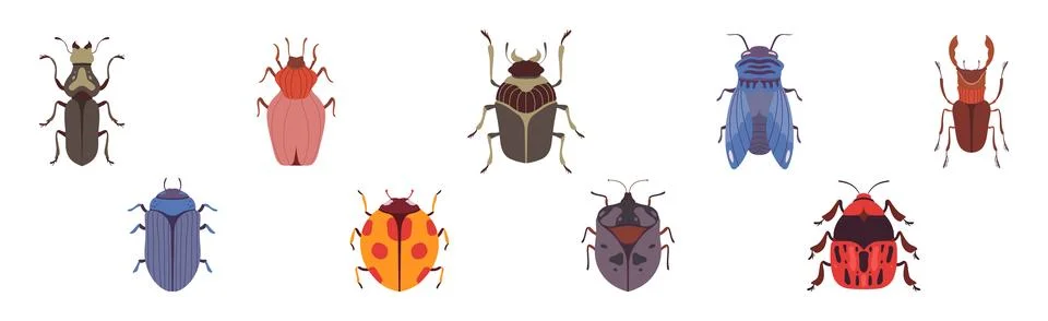 Insect Bugs and Beetle with Antenna and Multiple Legs Vector Set Stock Illustration