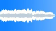 INSECT, BUZZSound Effect