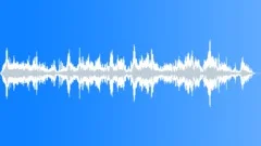 INSECT, BUZZSound Effect