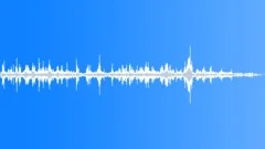 INSECT, BUZZSound Effect