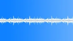 Insect, Buzzing Flies, Crickets Loop Sound Effect