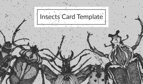 Insect Card Template with hand drawn beetles Stock Illustration