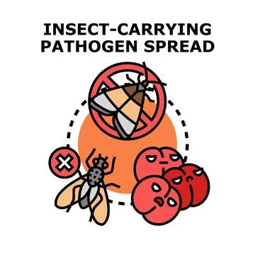 Insect carrying pathogen spreading disease and infection Stock Illustration