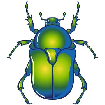 Insect chafer green beetle Stock Illustration