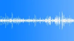 Insect Eating and MovementSound Effect