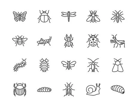 Insect flat line icons set. Butterfly, bug, dung beetle, grasshopper, cockroach Stock Illustration