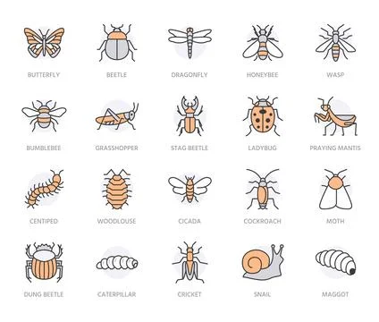 Insect flat line icons set. Butterfly, bug, dung beetle, grasshopper, cockroach Illustrazione stock