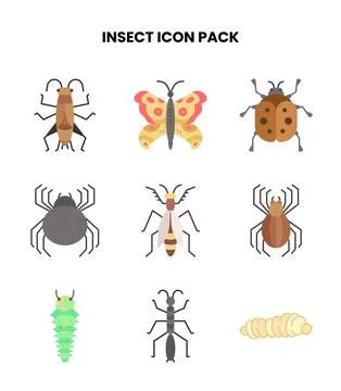 Insect Flat Vector Icons Pack Stock Illustration