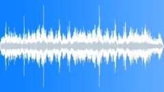 INSECT, FLIES Sound Effect