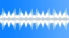 INSECT, FLIES Sound Effect