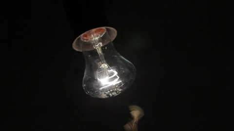 Insect Flight Light Bulb HD Stock Footage 28665826