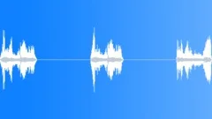 INSECT, FLY Sound Effect