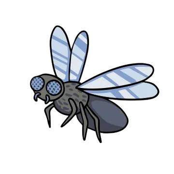 Insect fly. Vector cartoon illustration line drawing Stock Illustration