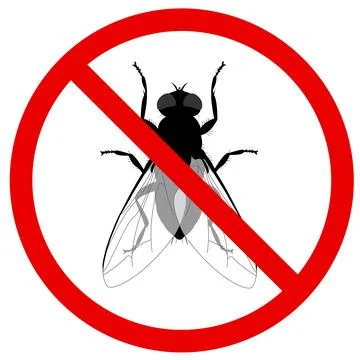 Insect fly vector icon.Black vector icon isolated on white background insect Stock Photos