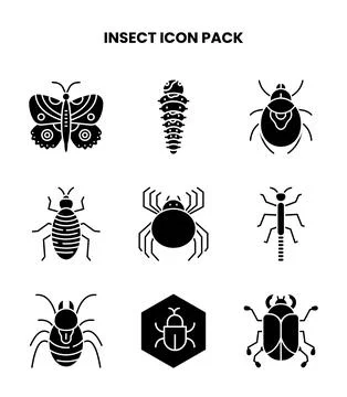 Insect Glyph Icons Pack Ilustración de archivo