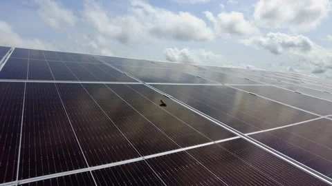 Insect grasshopper on solar panel array symbolizing eco friendliness of 動画素材 249656894