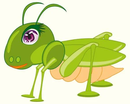 Insect green grasshopper Stock Illustration