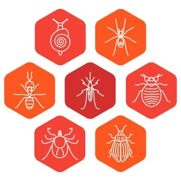 Insect hexagon set Stock Illustration