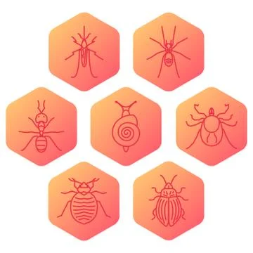 Insect hexagon set Stock Illustration