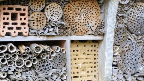 Insect hotel close up Stock Photos