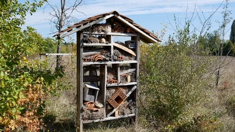 Insect hotel Stock Footage 96018349