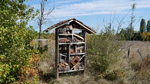 Insect hotel Stock Footage 96018360