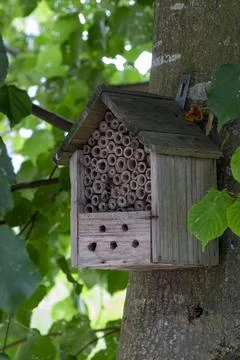 Insect hotel o a tree Stock Photos