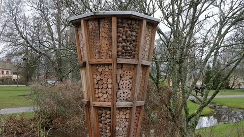 Insect Hotel Pan Shot 動画素材 99792698