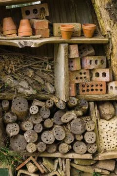 Insect Hotel Foto stock