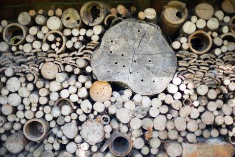 Insect Hotel Stock Photos