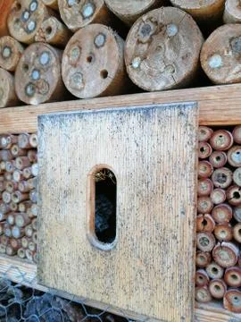 INSECT-HOTEL Stock Photos