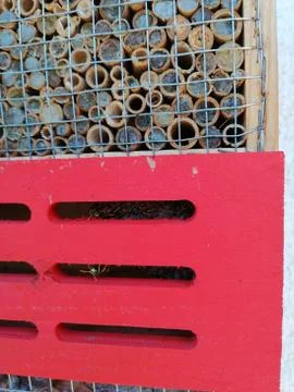 INSECT-HOTEL Stock-Fotos