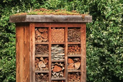 An insect hotel 스톡 사진