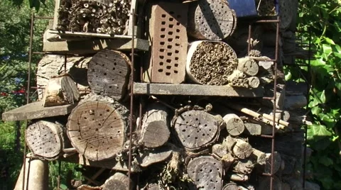 Insect hotel, a structure of logs which offers nesting  + shelter for insects Stock Footage 45200293