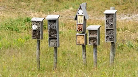 Insect hotels Stock Photos