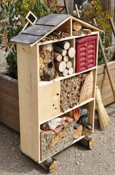 Insect house Photos