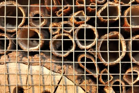 Insect house Stock Photos