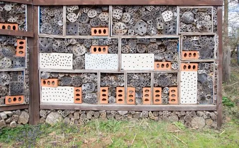 Insect House Foto stock