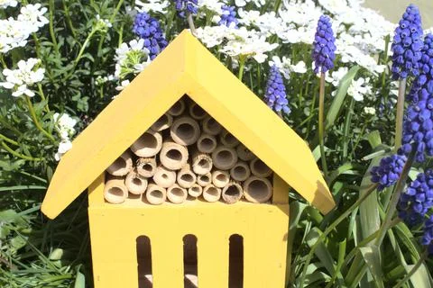 Insect house Stock Photos